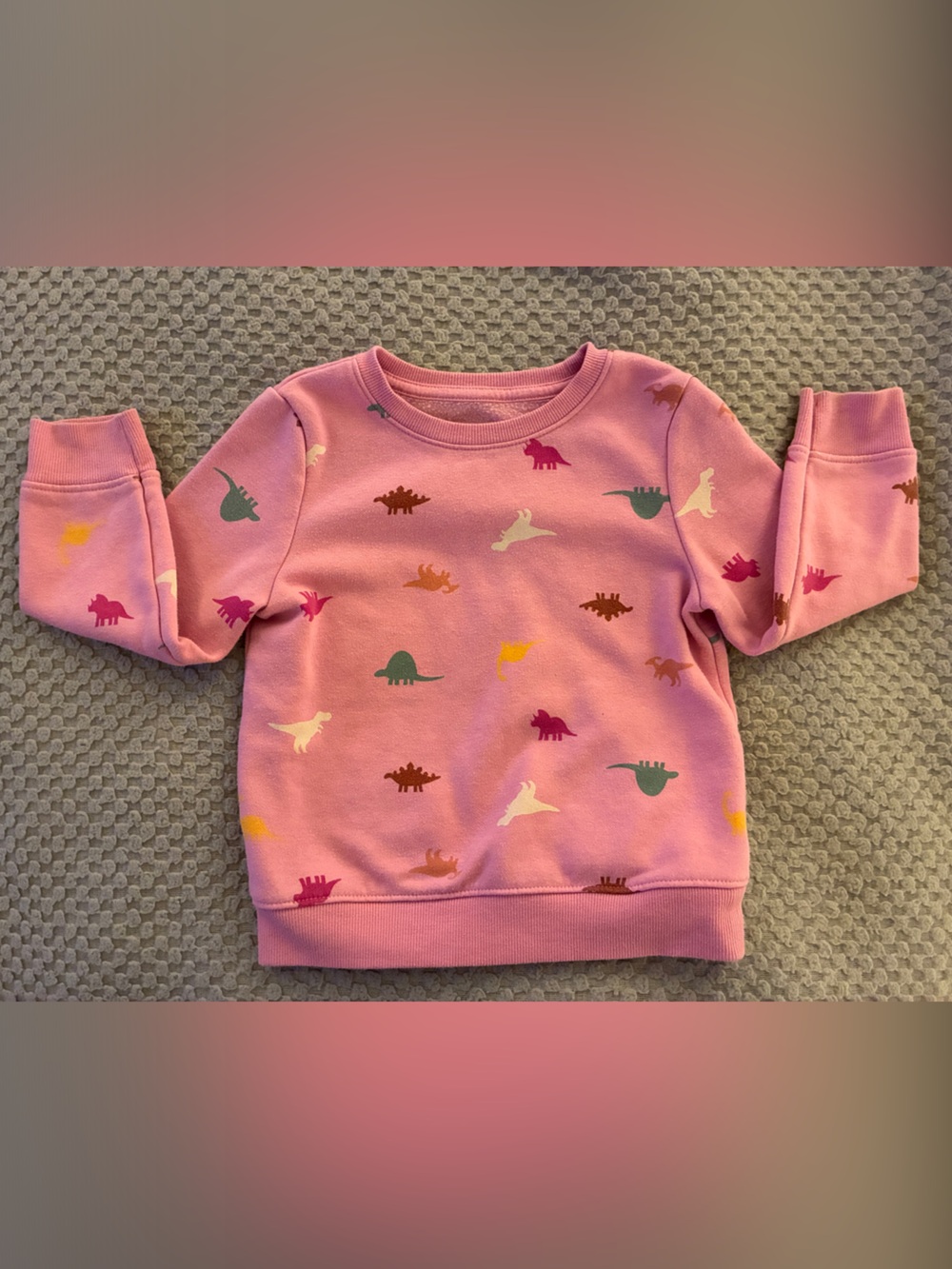 Cat & Jack Girls Pink 4T Dinosaur Sweatshirt